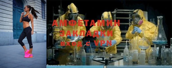 индика Абаза