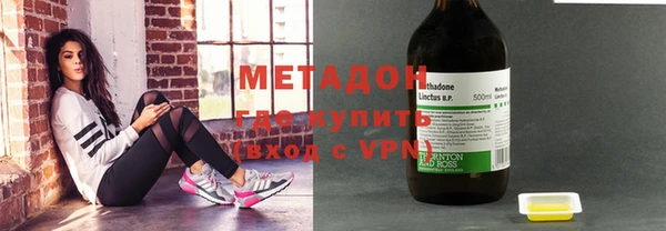 индика Абаза