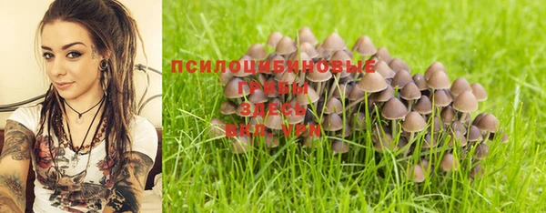 индика Абаза