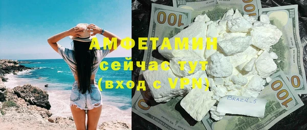 индика Абаза