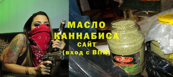 индика Абаза