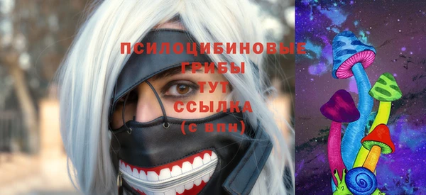 индика Абаза